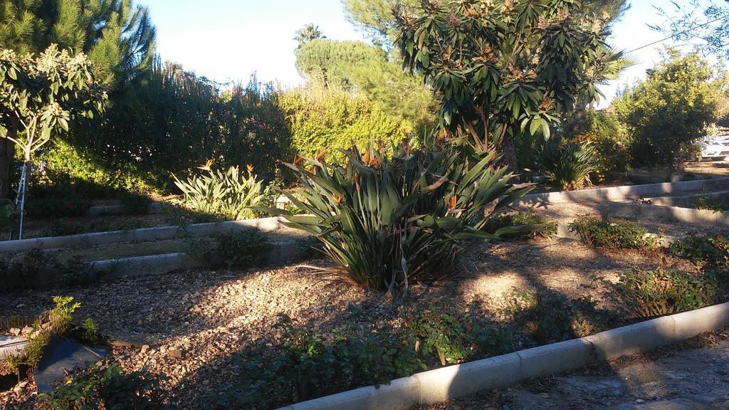 Rural Villasol